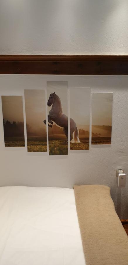 Astraka Guesthouse I Pápingo Kültér fotó